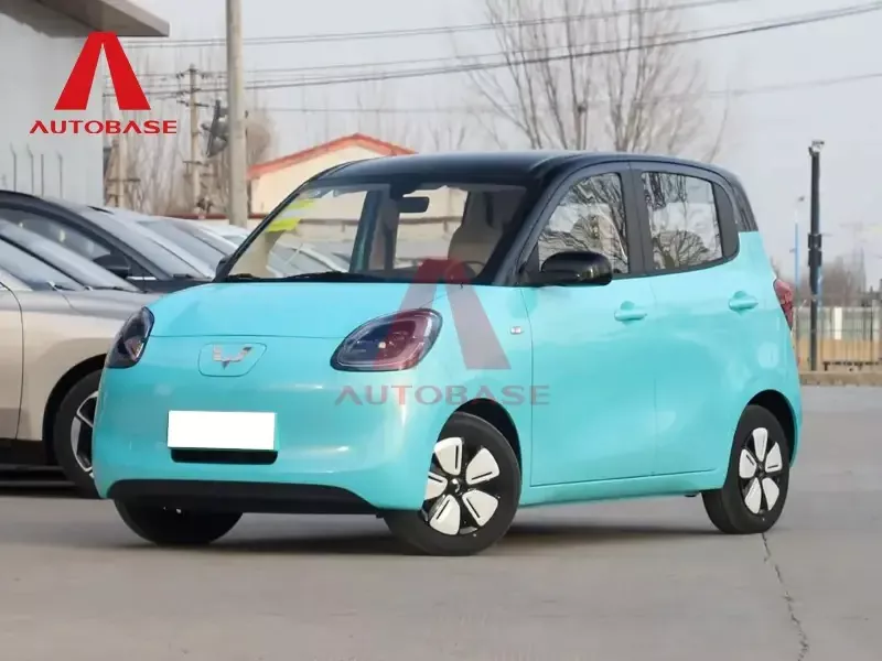 울 링 홍구 미니